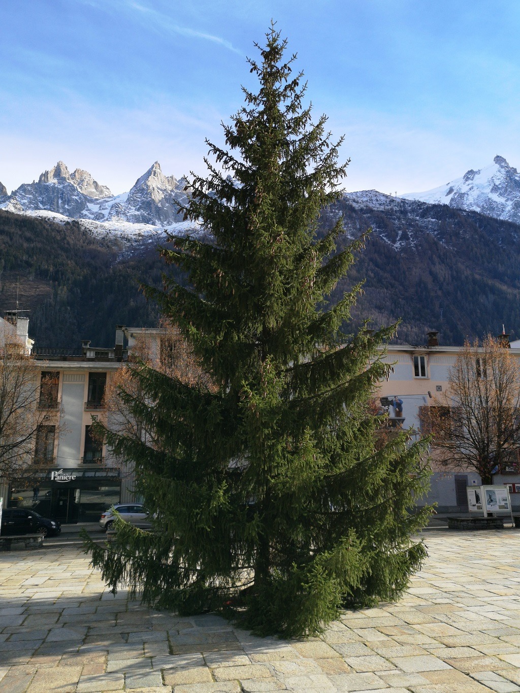 Collecte des sapins de Noël 2024 pour broyage