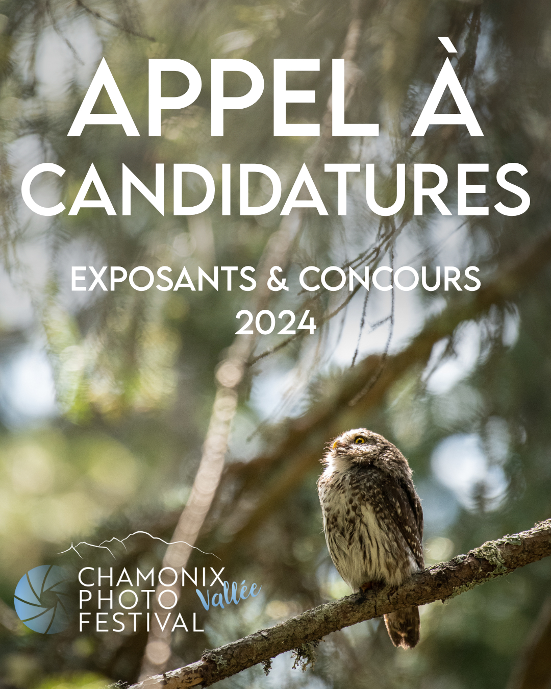 Chamonix Photo Festival 2024 : Appel à candidature